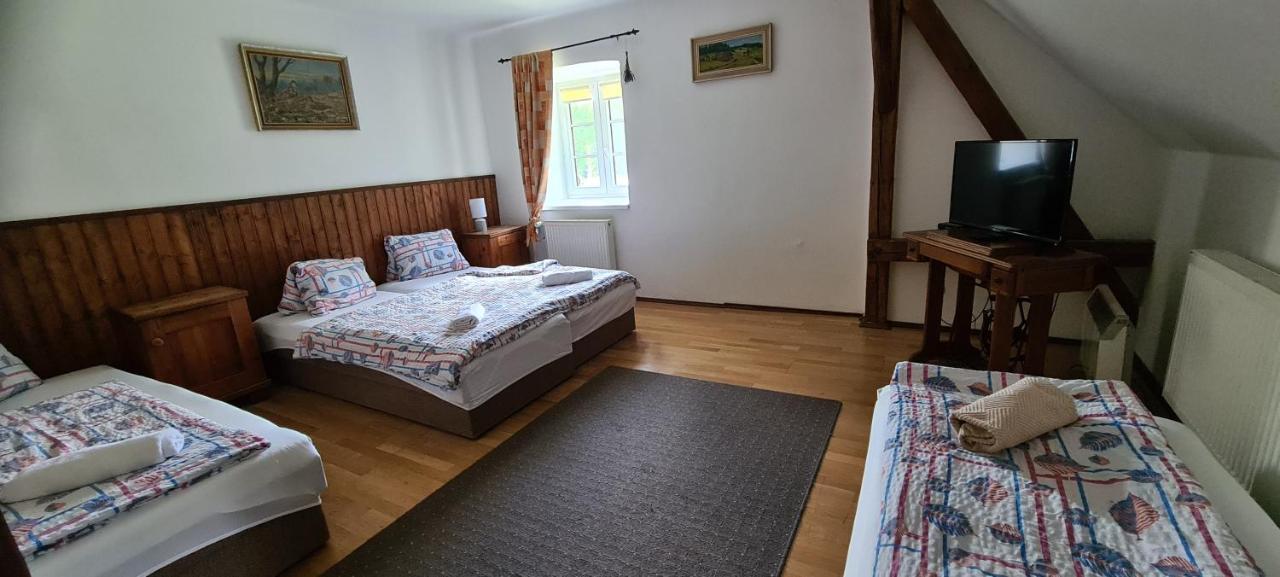Pension Pod Lipou Loučovice Zewnętrze zdjęcie