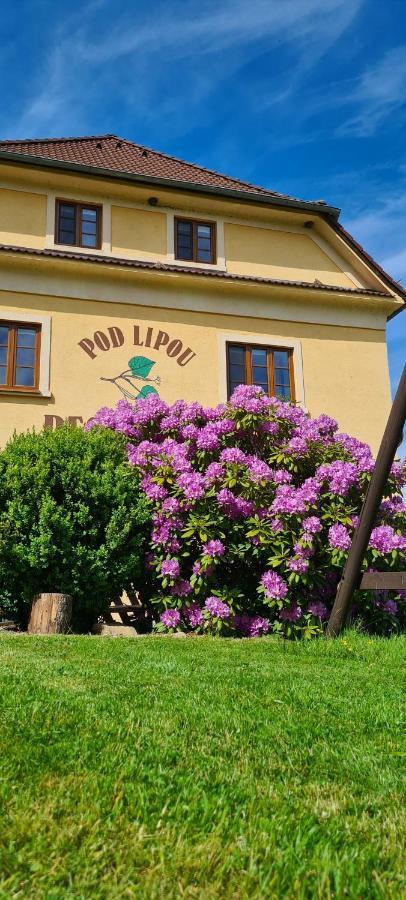 Pension Pod Lipou Loučovice Zewnętrze zdjęcie